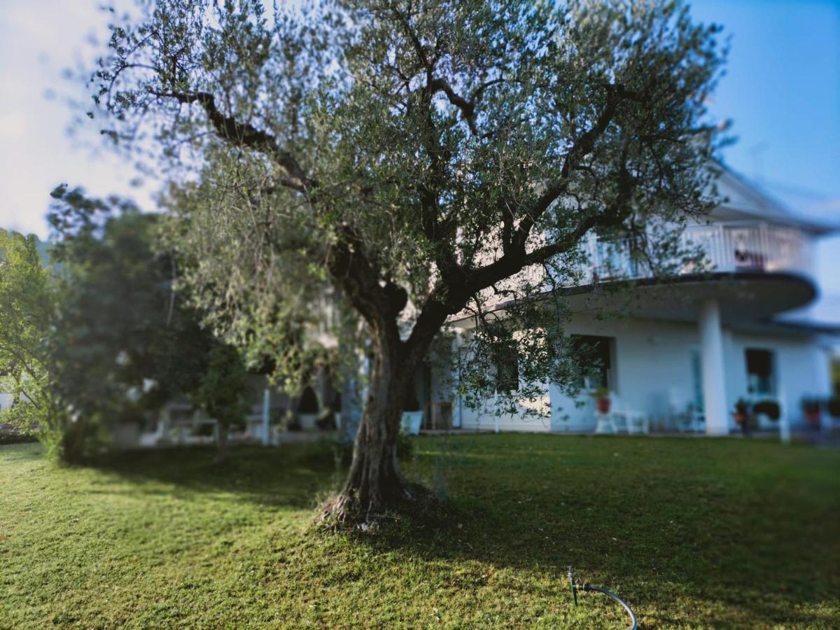 Villa Margherita San Giovanni Teatino Ngoại thất bức ảnh